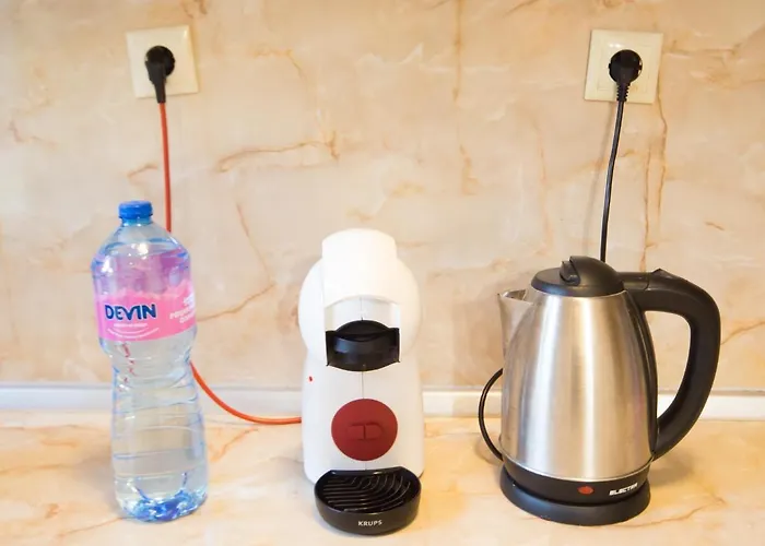 Price - Downtown Flat